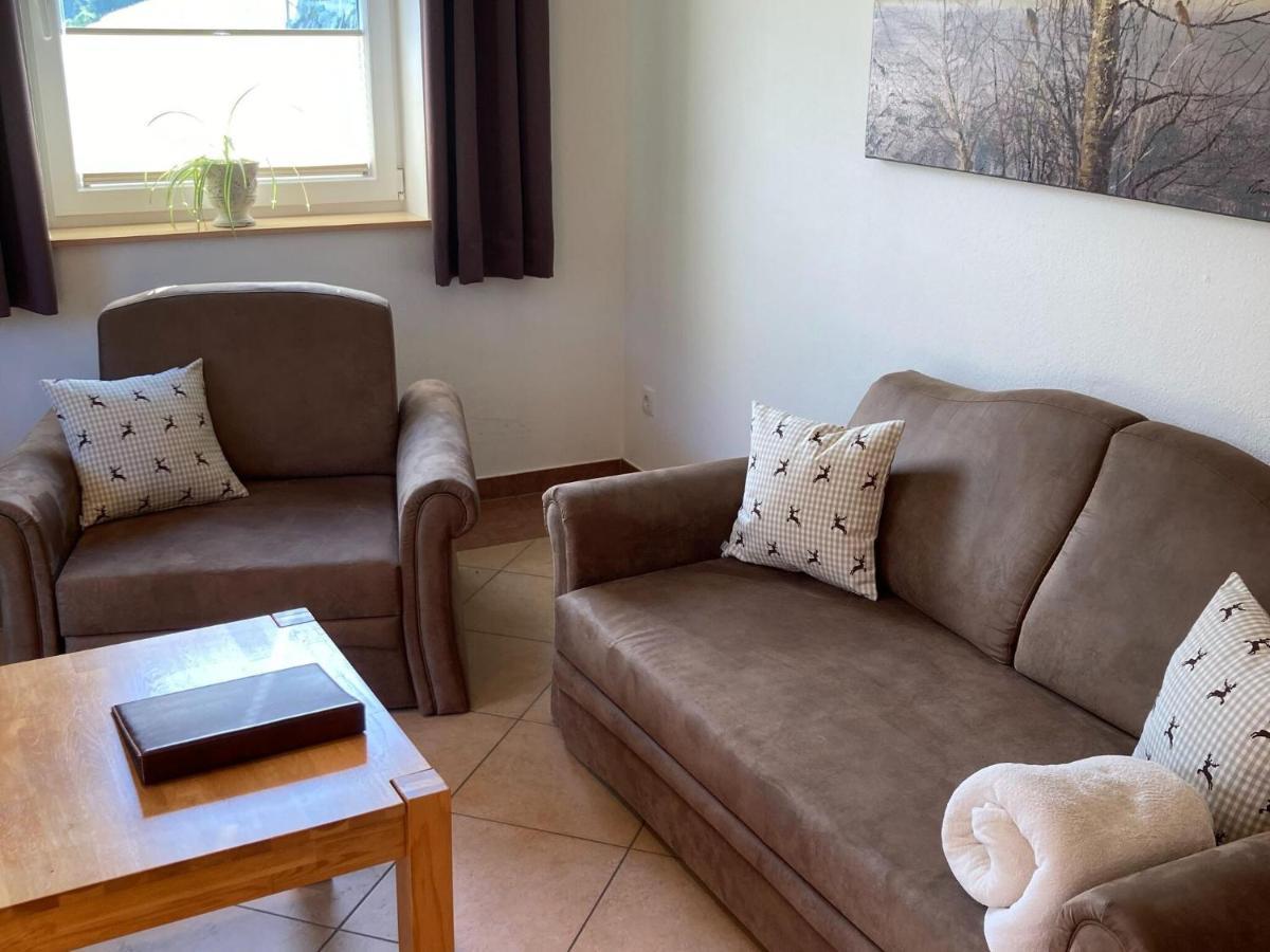 Holiday Apartment In Pinzgau With A Large Terrace Митерзил Екстериор снимка