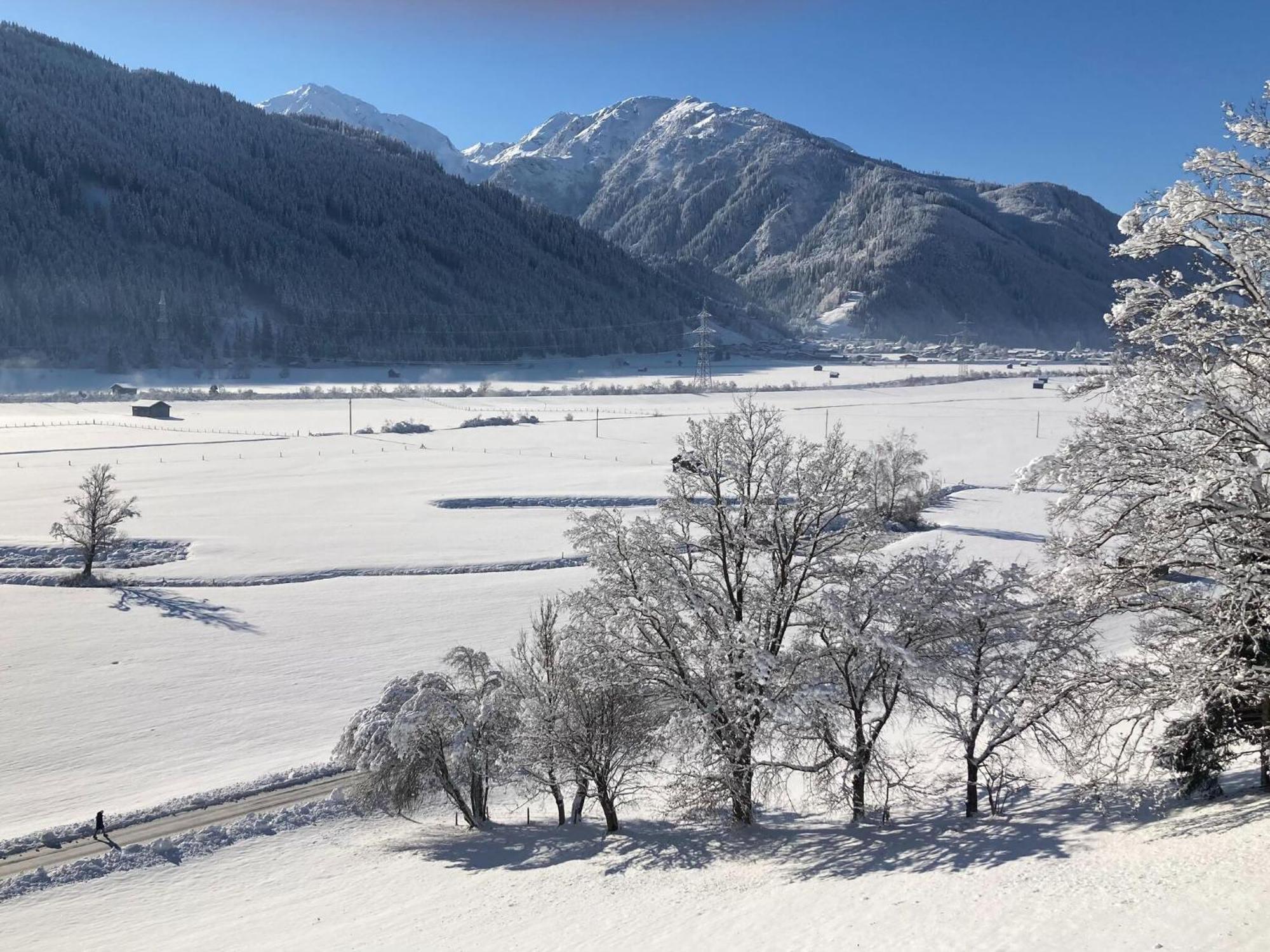 Holiday Apartment In Pinzgau With A Large Terrace Митерзил Екстериор снимка